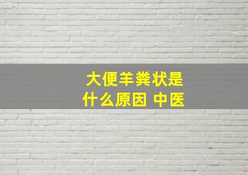 大便羊粪状是什么原因 中医